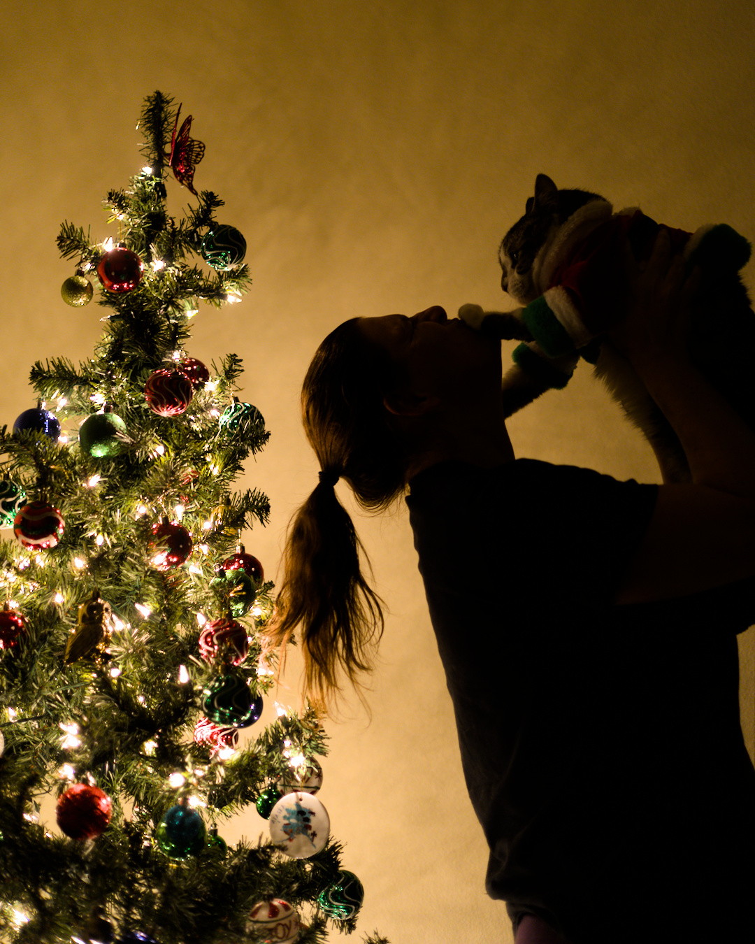 Standard issue cat torture.